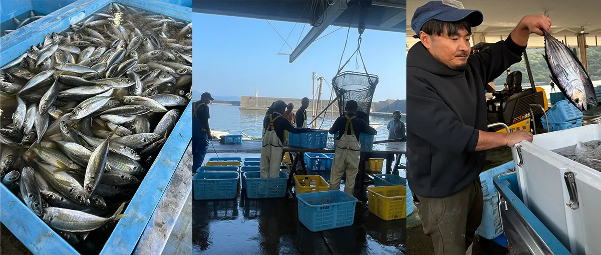 土佐清水ワールド。