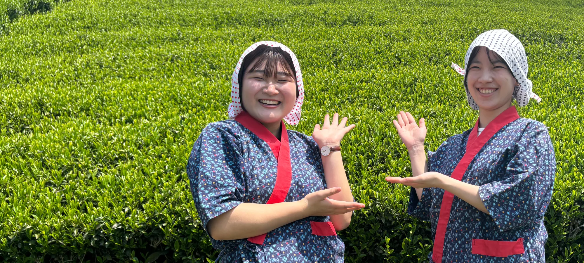 兵庫を代表する企業